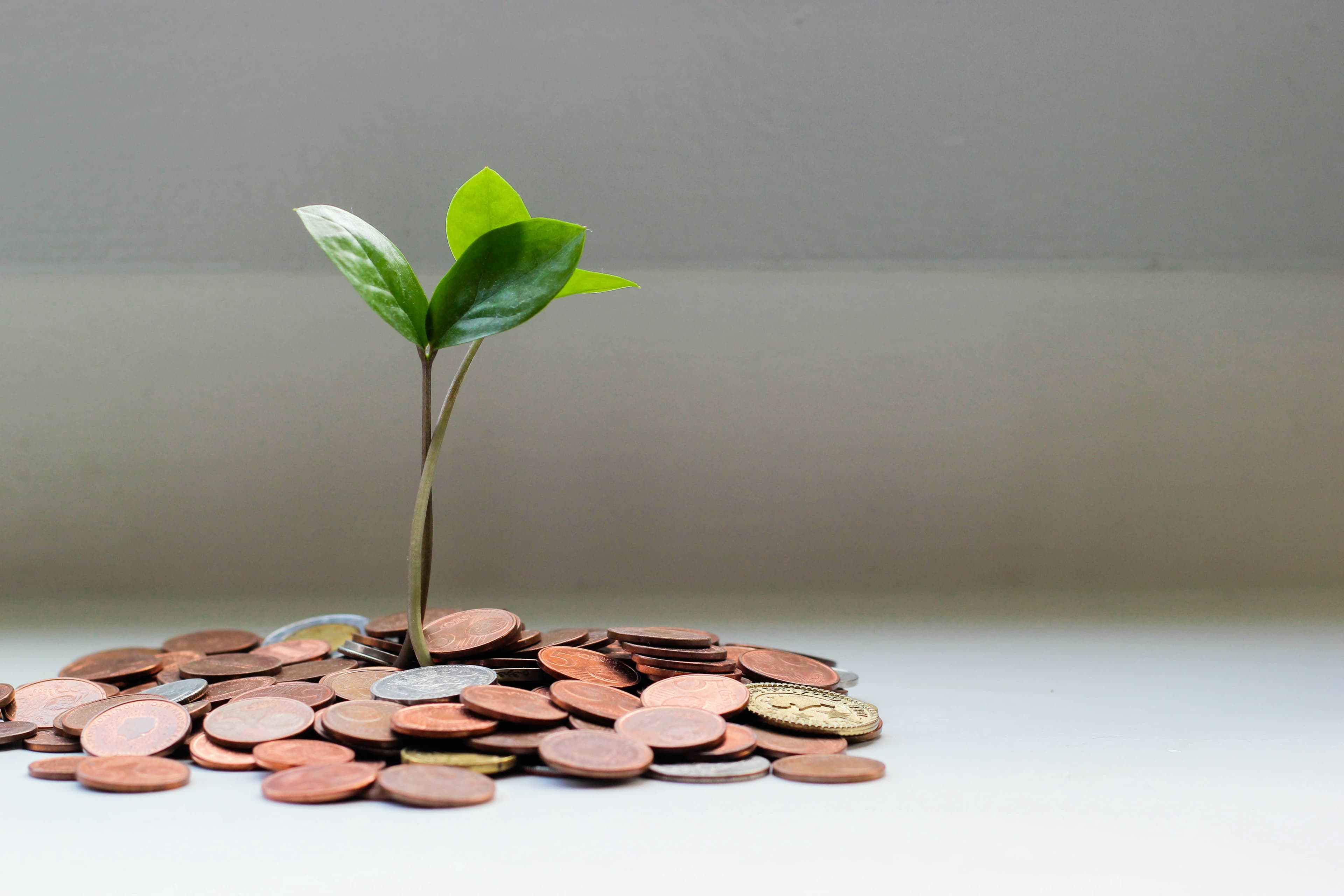 Access to Finance